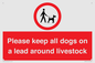 IV7277: Please keep all dogs on a lead around livestock