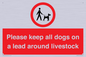 IV7277: Please keep all dogs on a lead around livestock