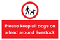 IV7277: Please keep all dogs on a lead around livestock