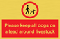 IV7277: Please keep all dogs on a lead around livestock
