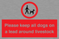 IV7277: Please keep all dogs on a lead around livestock