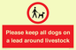 IV7277: Please keep all dogs on a lead around livestock