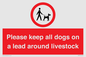IV7277: Please keep all dogs on a lead around livestock