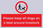IV7277: Please keep all dogs on a lead around livestock