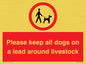 IV7277: Please keep all dogs on a lead around livestock