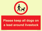 IV7277: Please keep all dogs on a lead around livestock