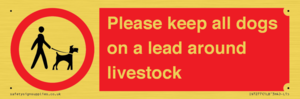 IV7277: Please keep all dogs on a lead around livestock