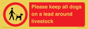 IV7277: Please keep all dogs on a lead around livestock