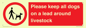 IV7277: Please keep all dogs on a lead around livestock