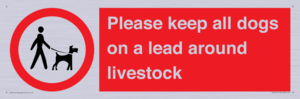 IV7277: Please keep all dogs on a lead around livestock