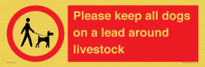 IV7277: Please keep all dogs on a lead around livestock