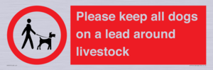 IV7277: Please keep all dogs on a lead around livestock