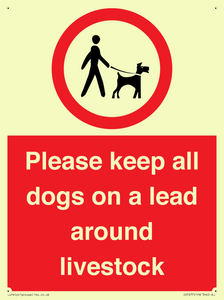 IV7277: Please keep all dogs on a lead around livestock