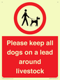IV7277: Please keep all dogs on a lead around livestock