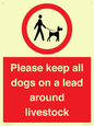 IV7277: Please keep all dogs on a lead around livestock