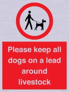 IV7277: Please keep all dogs on a lead around livestock
