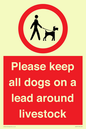 IV7277: Please keep all dogs on a lead around livestock