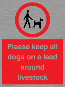 IV7277: Please keep all dogs on a lead around livestock