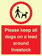 IV7277: Please keep all dogs on a lead around livestock