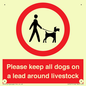 IV7277: Please keep all dogs on a lead around livestock