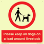 IV7277: Please keep all dogs on a lead around livestock