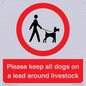 IV7277: Please keep all dogs on a lead around livestock