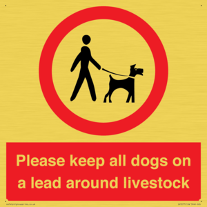 IV7277: Please keep all dogs on a lead around livestock