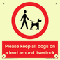 IV7277: Please keep all dogs on a lead around livestock