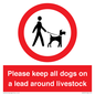IV7277: Please keep all dogs on a lead around livestock