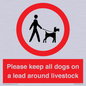 IV7277: Please keep all dogs on a lead around livestock