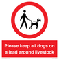 IV7277: Please keep all dogs on a lead around livestock