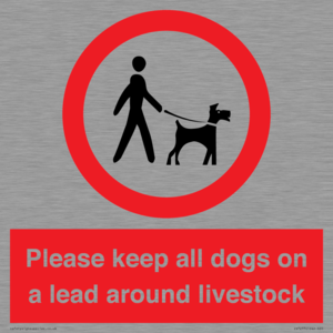 IV7277: Please keep all dogs on a lead around livestock