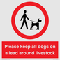 IV7277: Please keep all dogs on a lead around livestock