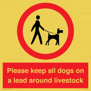 IV7277: Please keep all dogs on a lead around livestock