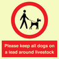 IV7277: Please keep all dogs on a lead around livestock