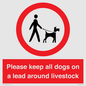 IV7277: Please keep all dogs on a lead around livestock