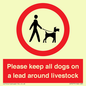 IV7277: Please keep all dogs on a lead around livestock