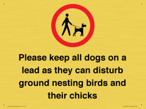 IV7279: Please keep all dogs on a lead as they can disturb ground nesting birds and their chicks