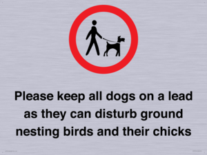 IV7279: Please keep all dogs on a lead as they can disturb ground nesting birds and their chicks