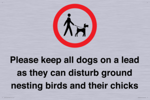 IV7279: Please keep all dogs on a lead as they can disturb ground nesting birds and their chicks