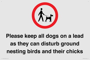 IV7279: Please keep all dogs on a lead as they can disturb ground nesting birds and their chicks