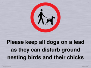 IV7279: Please keep all dogs on a lead as they can disturb ground nesting birds and their chicks