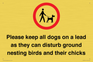 IV7279: Please keep all dogs on a lead as they can disturb ground nesting birds and their chicks