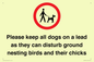 IV7279: Please keep all dogs on a lead as they can disturb ground nesting birds and their chicks