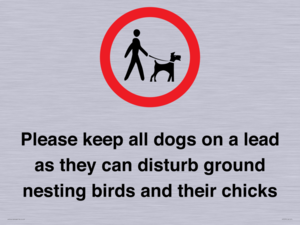 IV7279: Please keep all dogs on a lead as they can disturb ground nesting birds and their chicks