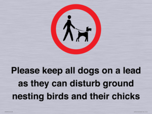 IV7279: Please keep all dogs on a lead as they can disturb ground nesting birds and their chicks