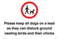 IV7279: Please keep all dogs on a lead as they can disturb ground nesting birds and their chicks