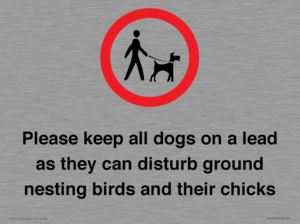 IV7279: Please keep all dogs on a lead as they can disturb ground nesting birds and their chicks