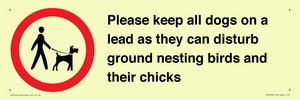IV7279: Please keep all dogs on a lead as they can disturb ground nesting birds and their chicks