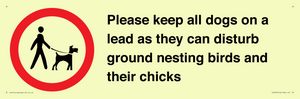IV7279: Please keep all dogs on a lead as they can disturb ground nesting birds and their chicks